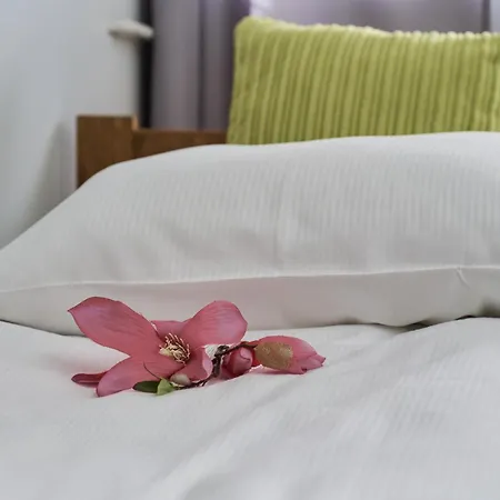 Wyszynskiego With Air Conditioning By Renters Appartamento Breslavia